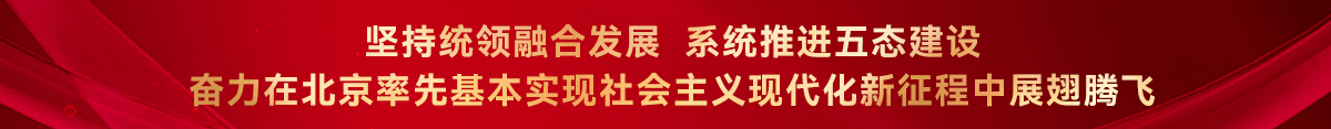 堅持統領融合發展 系統推進五態建設 奮力在北京率先基本實現社會主義現代化新征程中展翅騰飛
